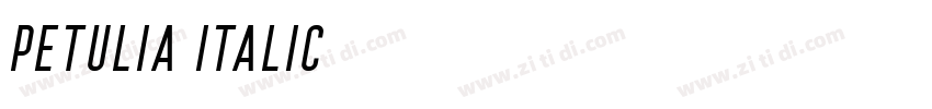 Petulia Italic字体转换